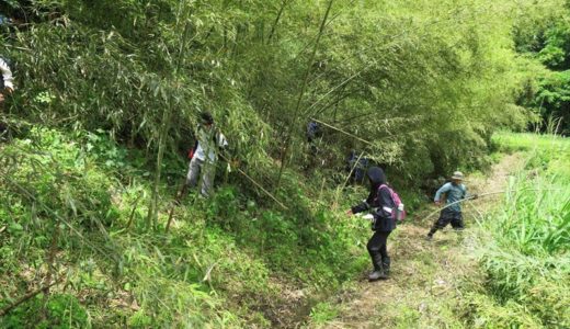 竹林整備＆淡竹採り2025