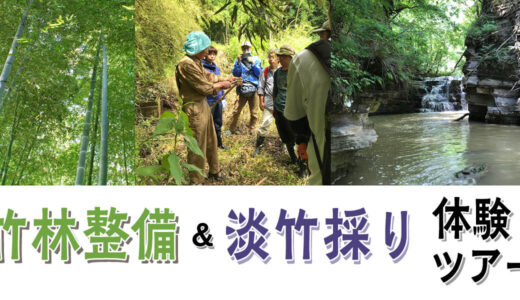 竹林整備＆淡竹採り　体験ツアー2022