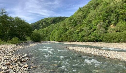 鹿島川で遊ぼう！レポート