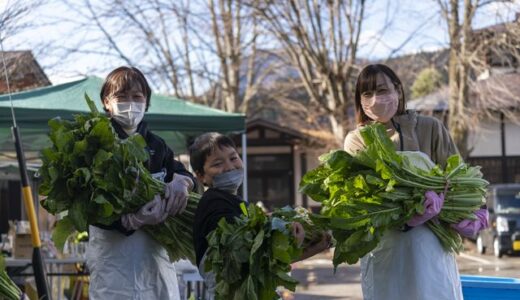 伝統食にチャレンジ！野沢菜お菜洗い2024