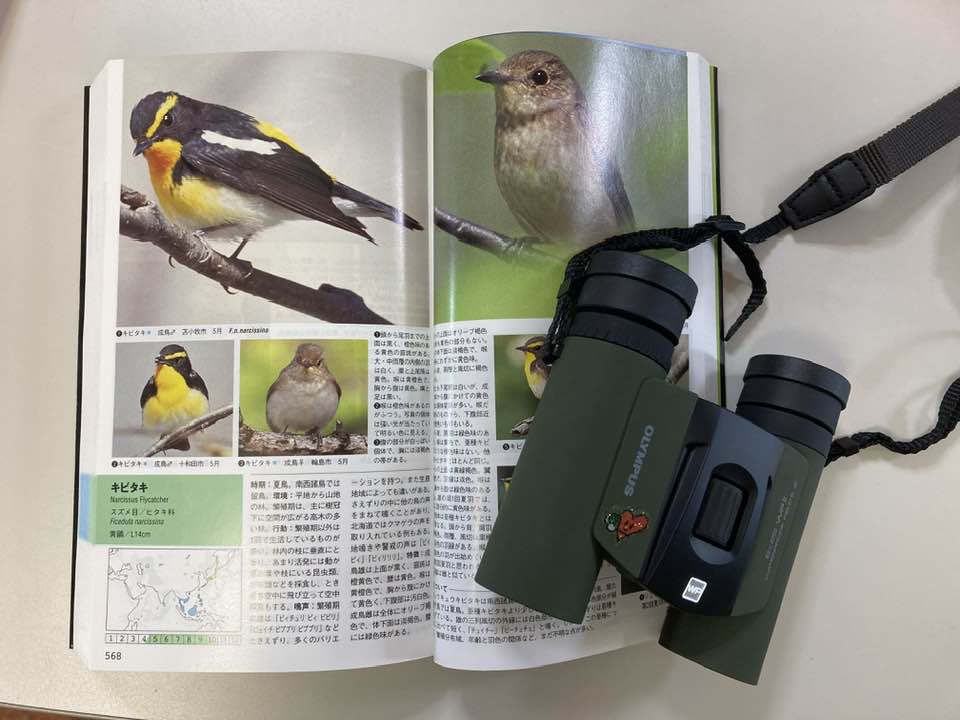 双眼鏡