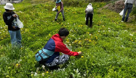 身近な生き物を知ろう～探鳥会・道草を食べる会