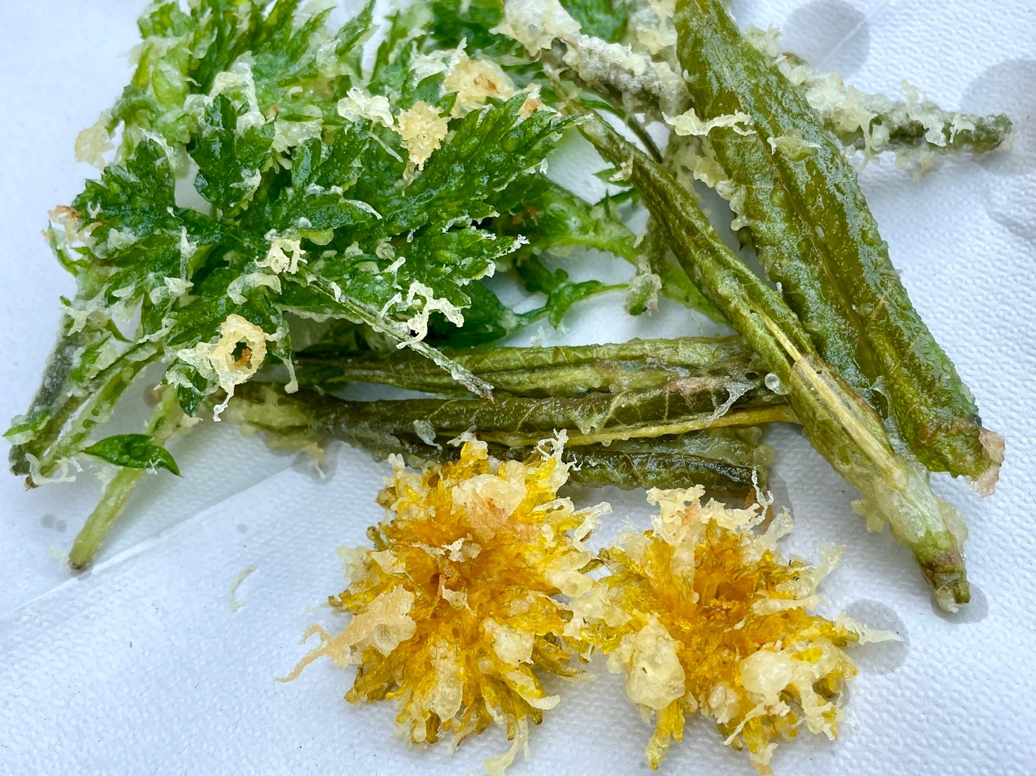 野草天ぷら
