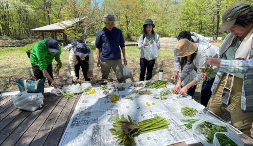 春の鳥見と道草を食べる会2025