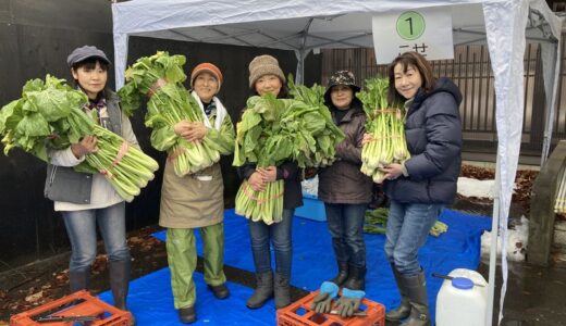 伝統食にチャレンジ！野沢菜お菜洗い2025
