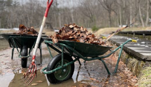 わっぱらんど2026春の里山整備