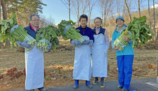 伝統食にチャレンジ！野沢菜お菜洗い2026